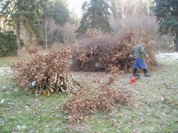 2005 : Úklid pláže rybníka Jan (při úklidu)